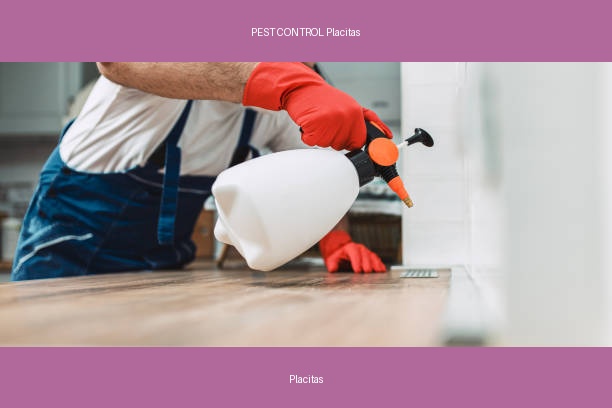 PEST CONTROL Placitas